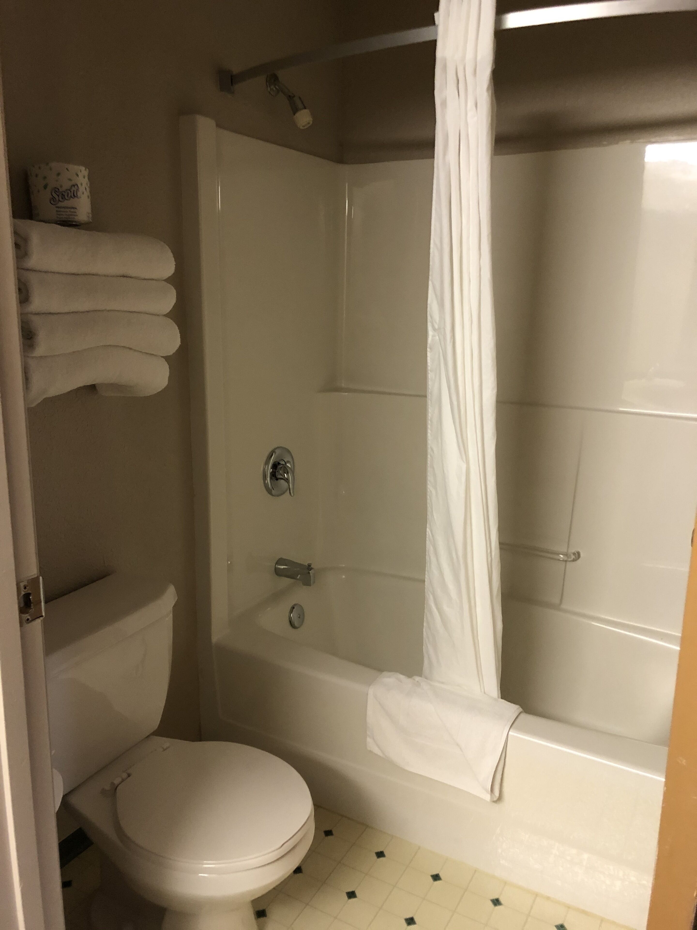 combined shower/bathtub, free toiletries, towels
