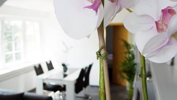 Premium-Apartment, 1 Schlafzimmer, Nichtraucher, Gartenblick | Wohnzimmer