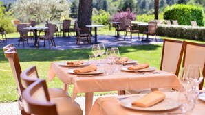 An outdoor dining area with tables set for a meal, surrounded by chairs and a scenic view of hills and trees. - Hôtel le Chêne Vert (Rocher)