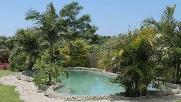 Una piscina rodeada por un deck de piedra y exuberante vegetación, con palmeras y otras plantas tropicales.