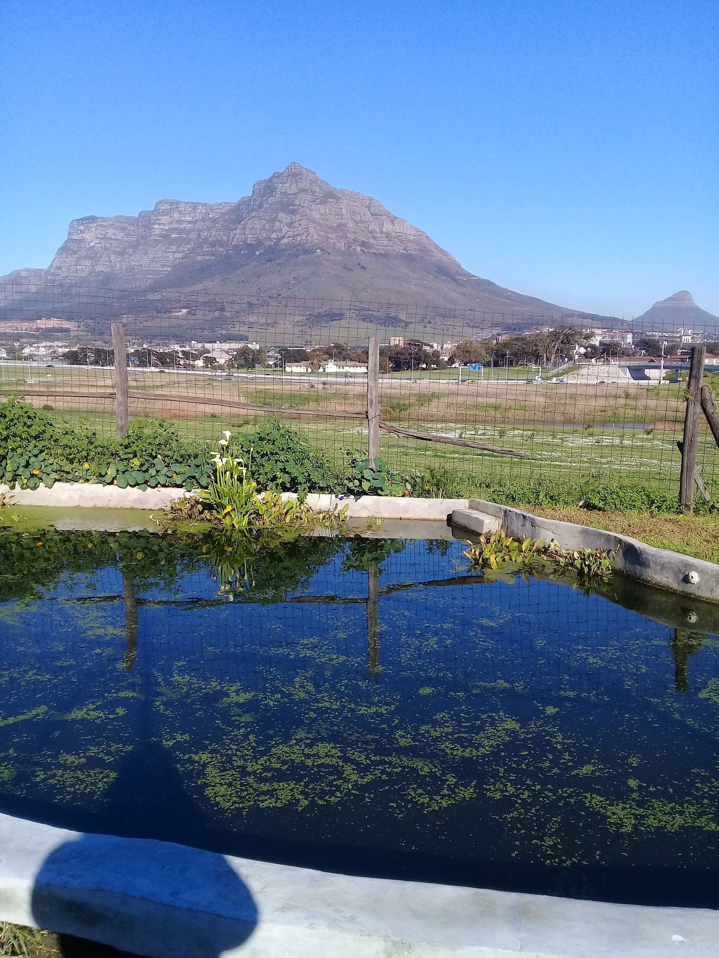 Foto - Lighthouse Farm Backpackers Lodge