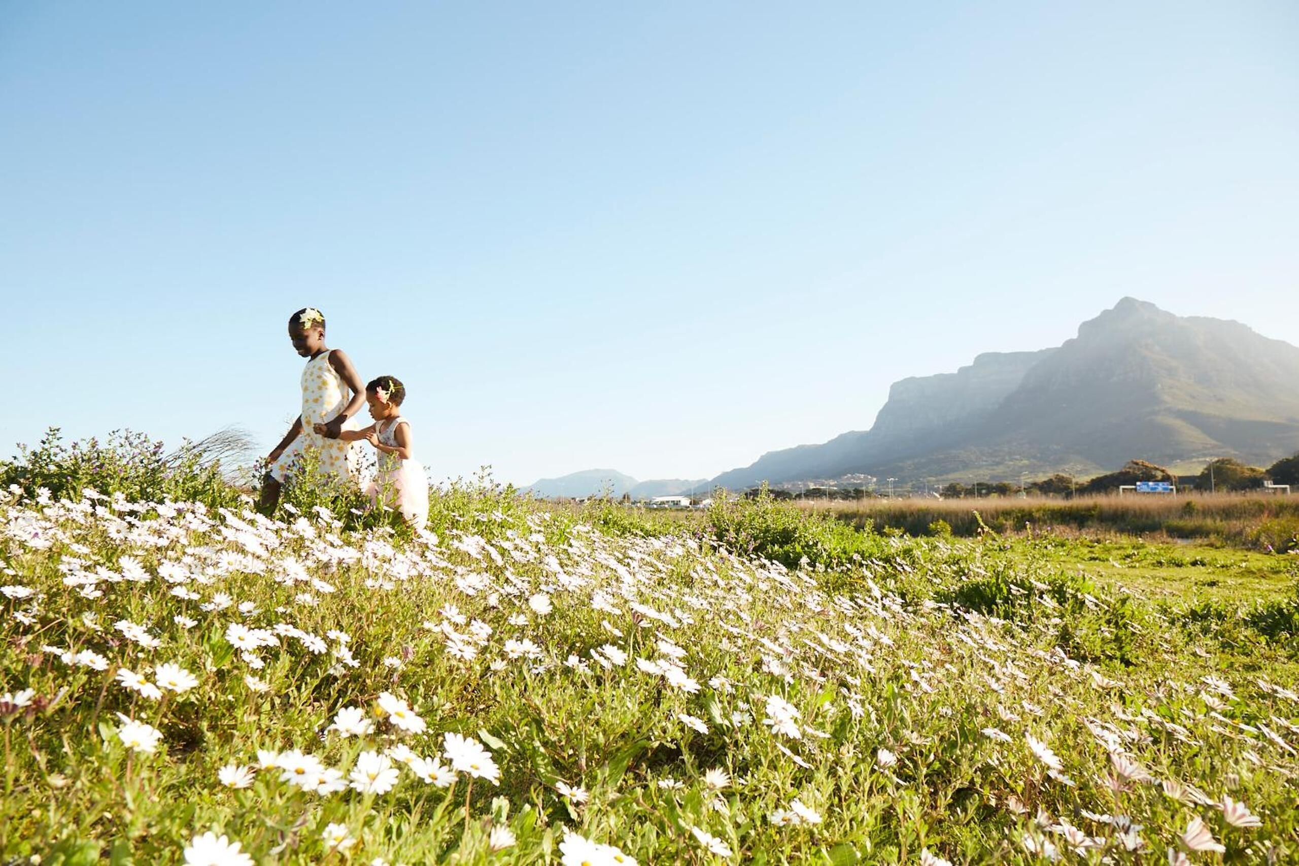 Foto - Lighthouse Farm Backpackers Lodge