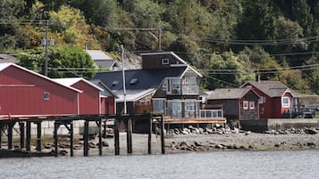 Private beach, sun-loungers, fishing