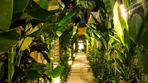 A nighttime pathway flanked by large tropical plants and illuminated by soft lighting, leading to a building entrance. - The Oasis Retreat Seminyak (Seminyak)