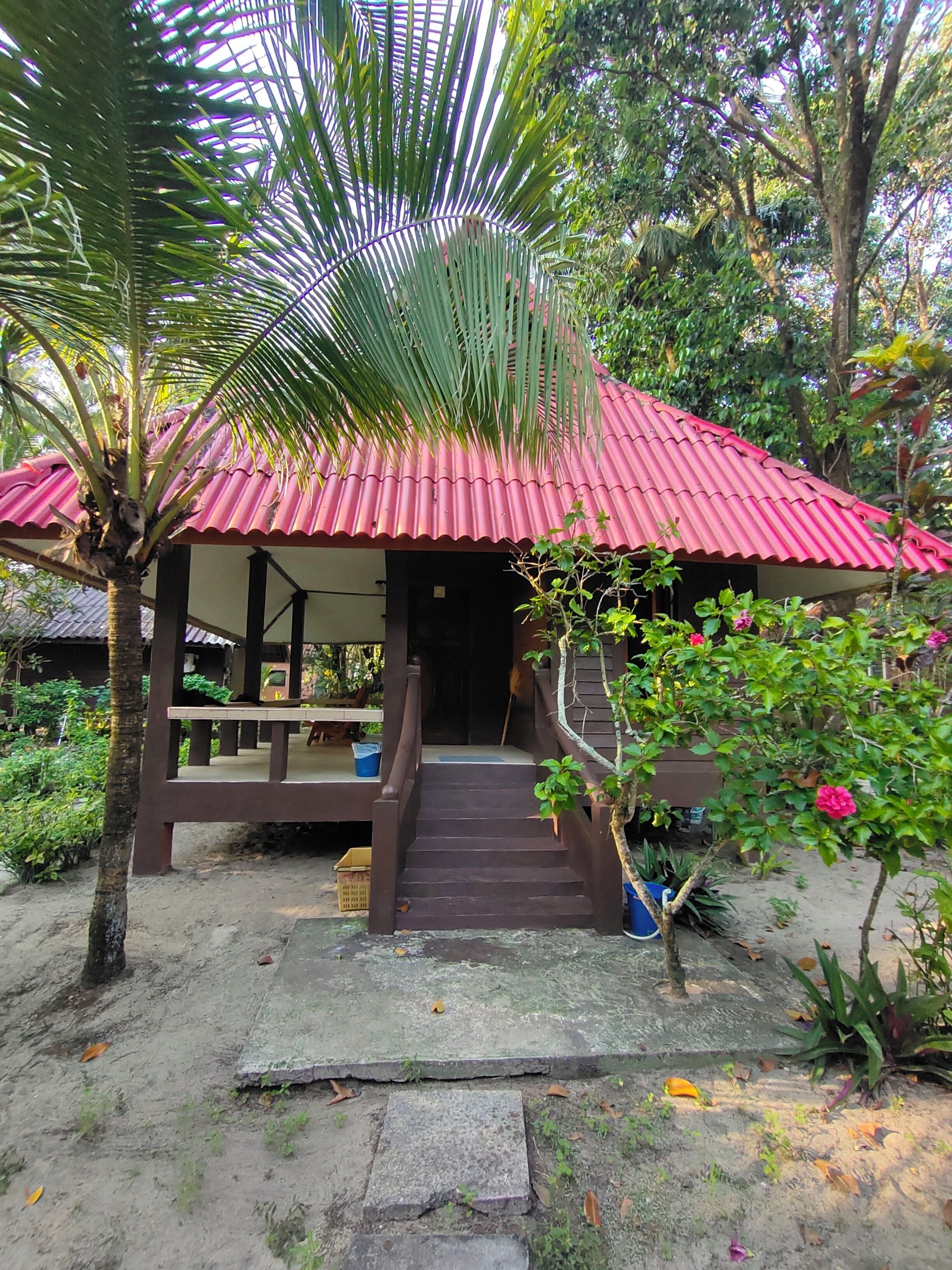 ベーシック ダブルルーム | テラス / パティオ