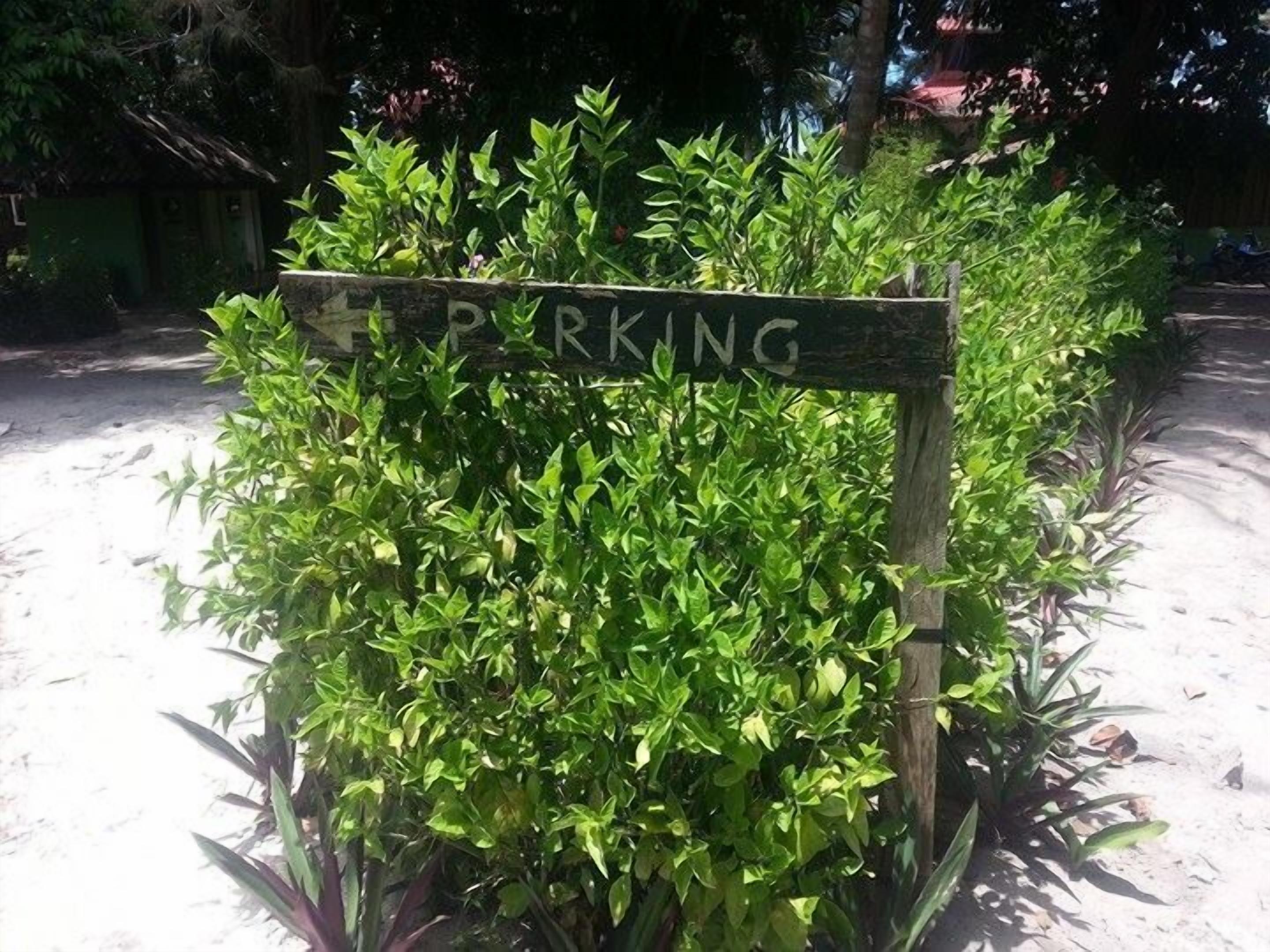 Free self-parking