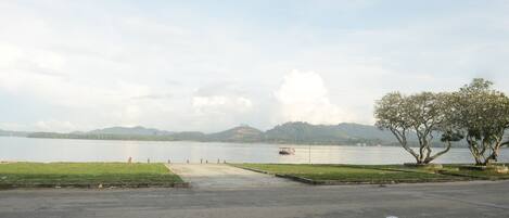 A waterfront view with a dock, grassy areas, and a tree.