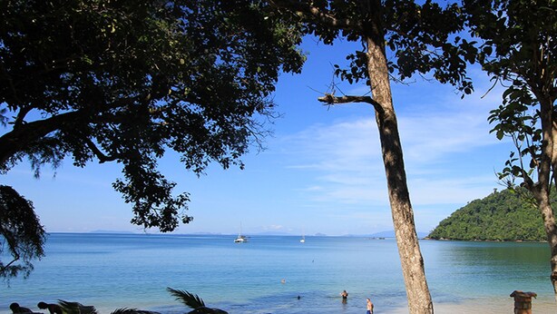 Une plage à l’eau cristalline, bordée de palmiers, avec une île qui se profile à l’horizon.