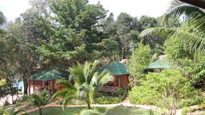 Un bungalow doté d’un toit végétalisé, entouré d’une végétation luxuriante et de palmiers.