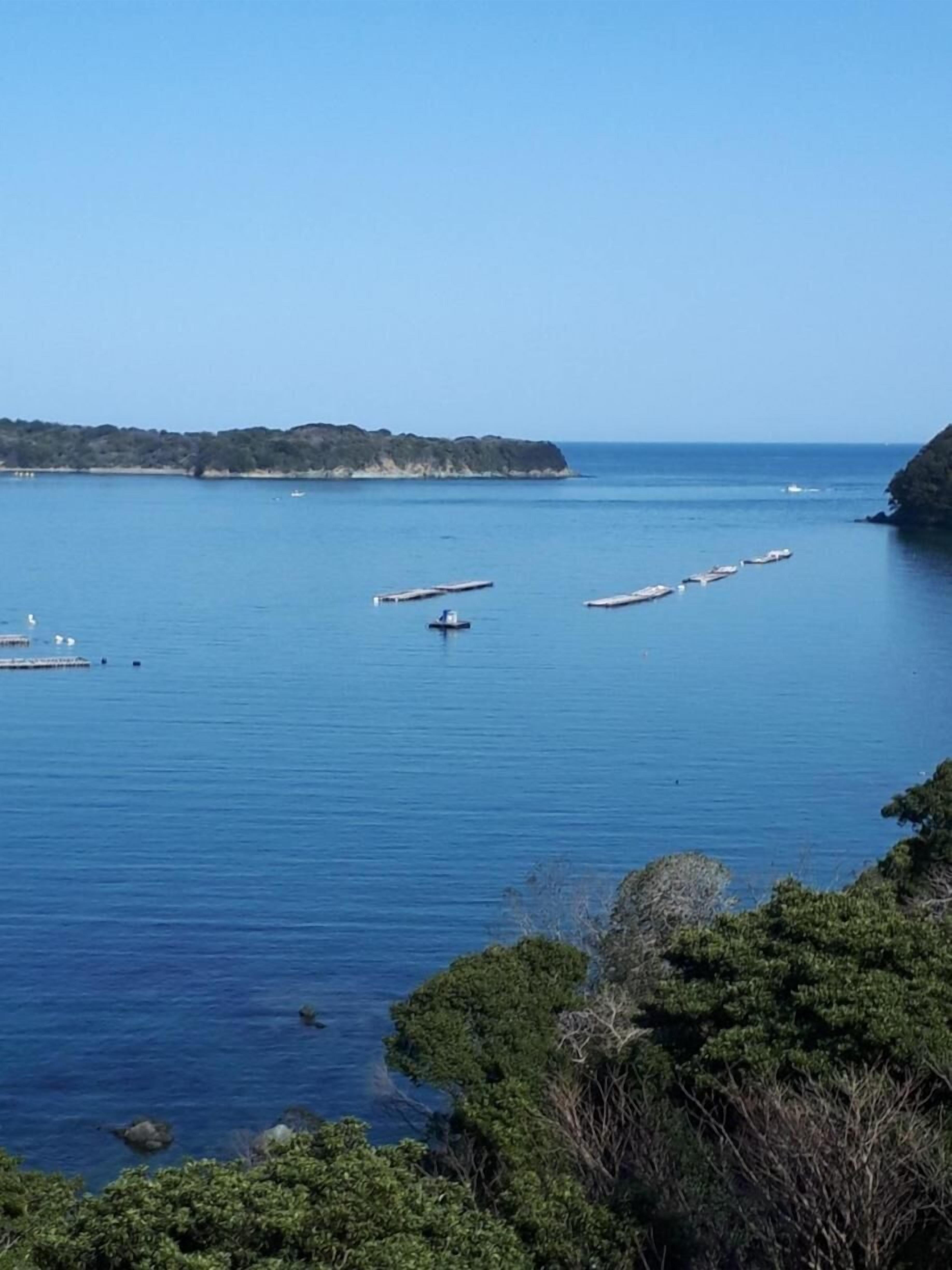 Vista costera con barcos anclados en aguas tranquilas, rodeada de abundante vegetación y acantilados rocosos.