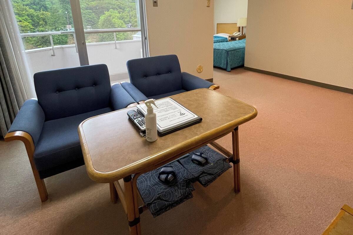 Een kamer met twee blauwe banken, een kleine houten tafel, een raam met uitzicht op groen en een airconditioning.