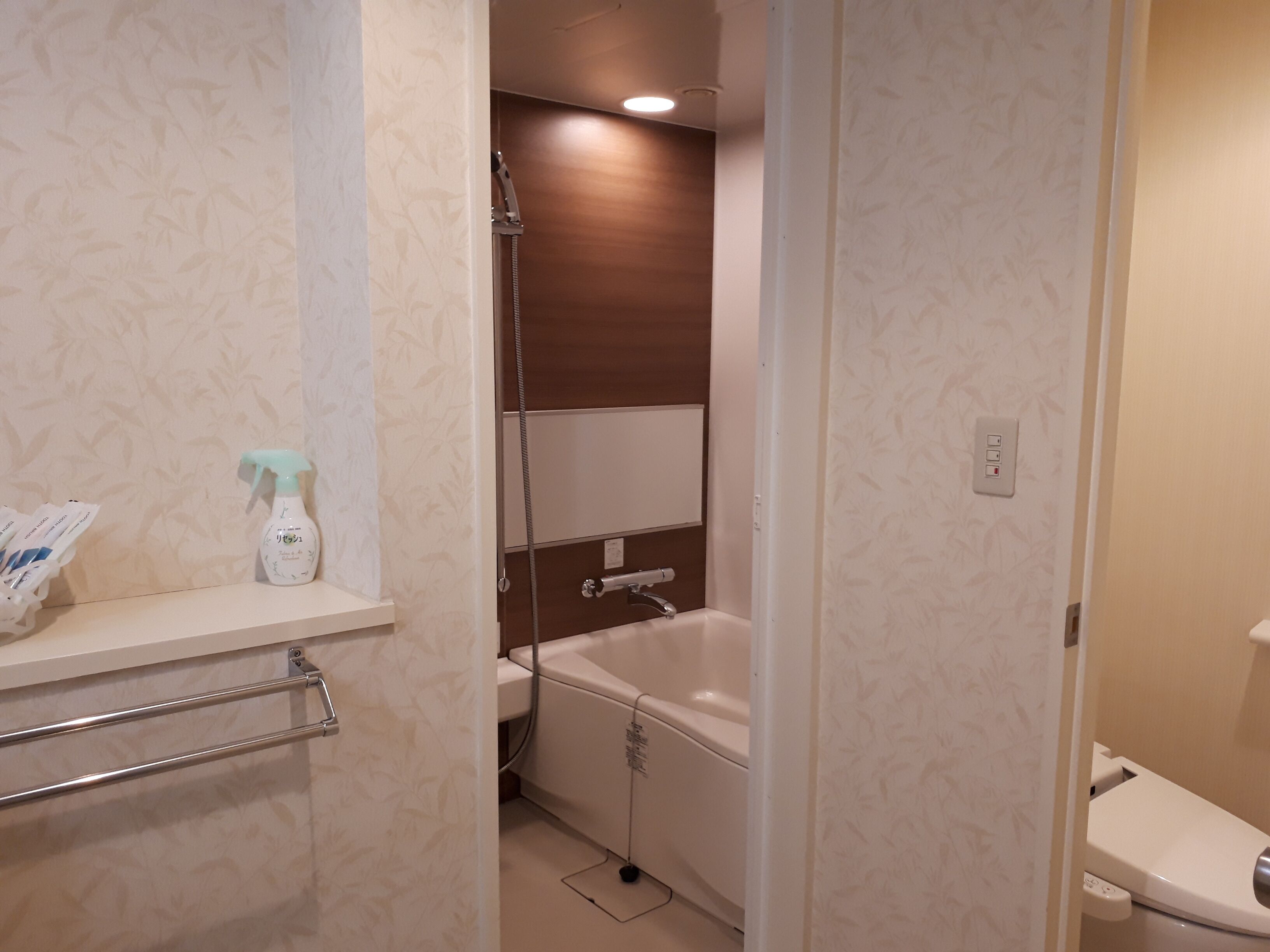 separate bathtub and shower, hydromassage showerhead, free toiletries