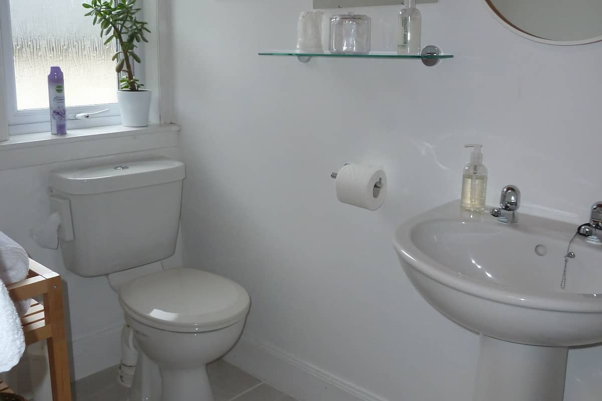 Un baño con inodoro, lavamanos y una ventana con una planta. Hay dos cuadros en la pared y una repisa con artículos de aseo.