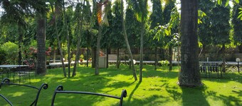 Jungle Safari Resort