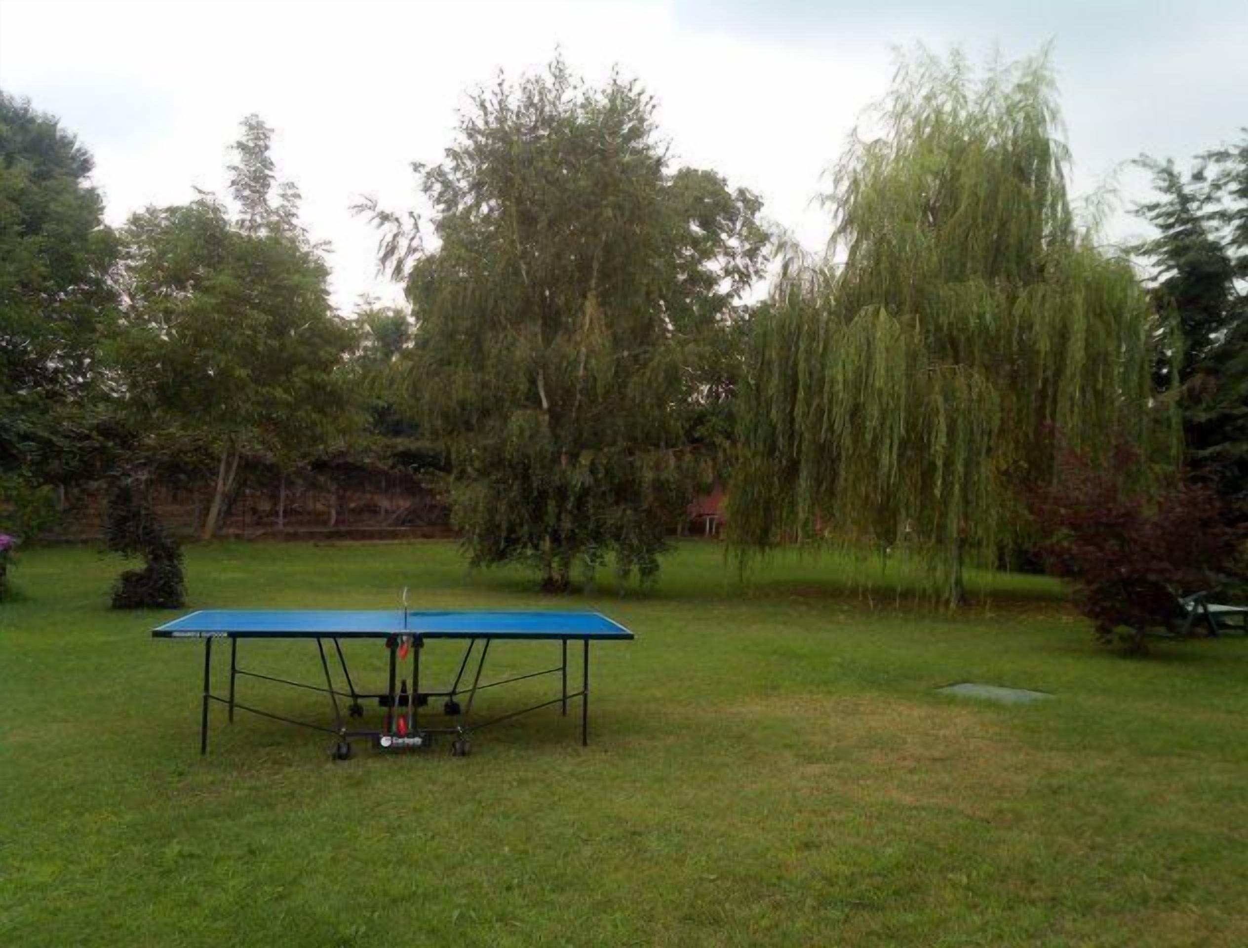 A ping pong table in a grassy outdoor area with trees in the background.