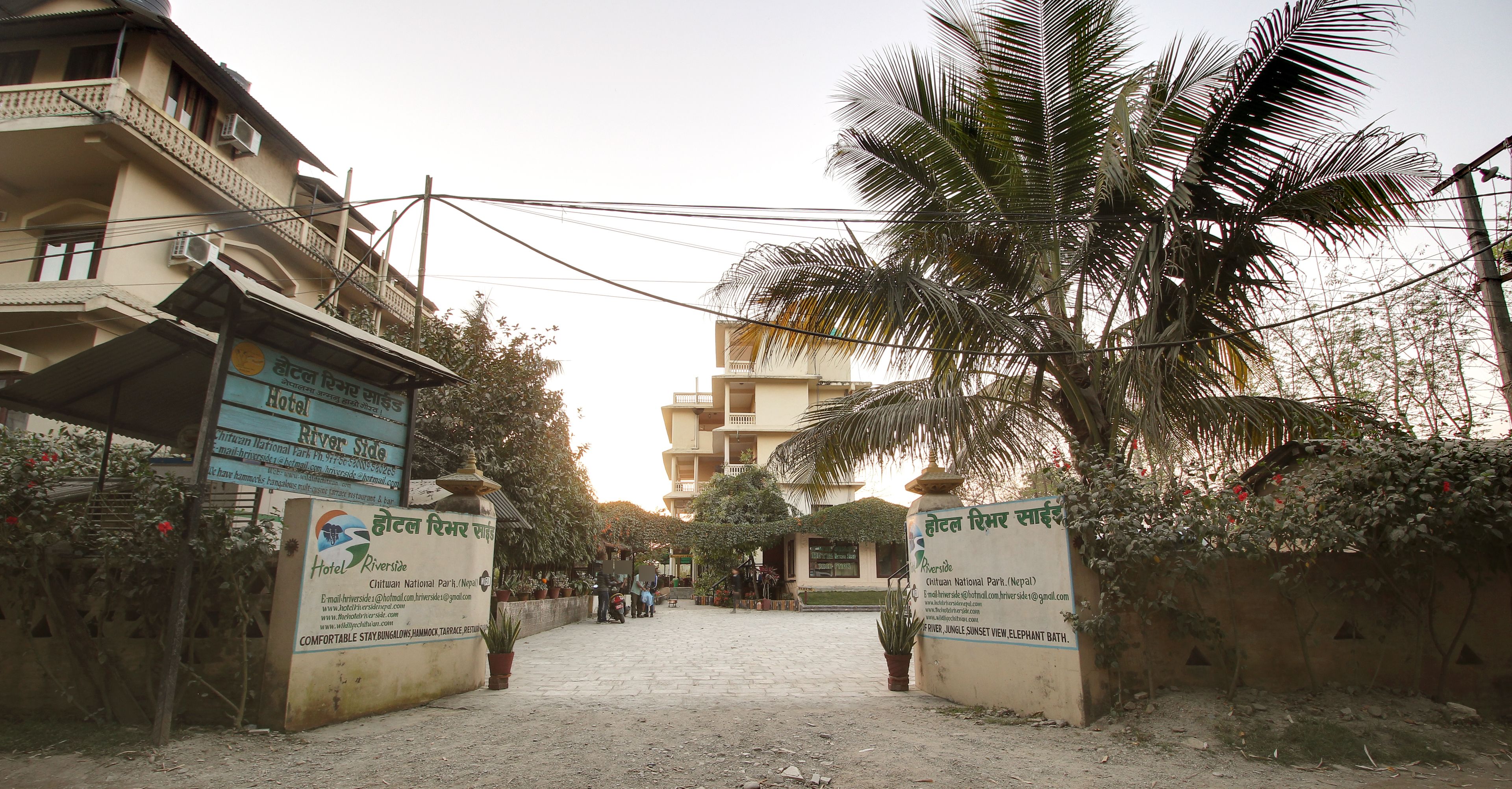 A hotel entrance with a signboard, a pathway leading to the building, and a palm tree.