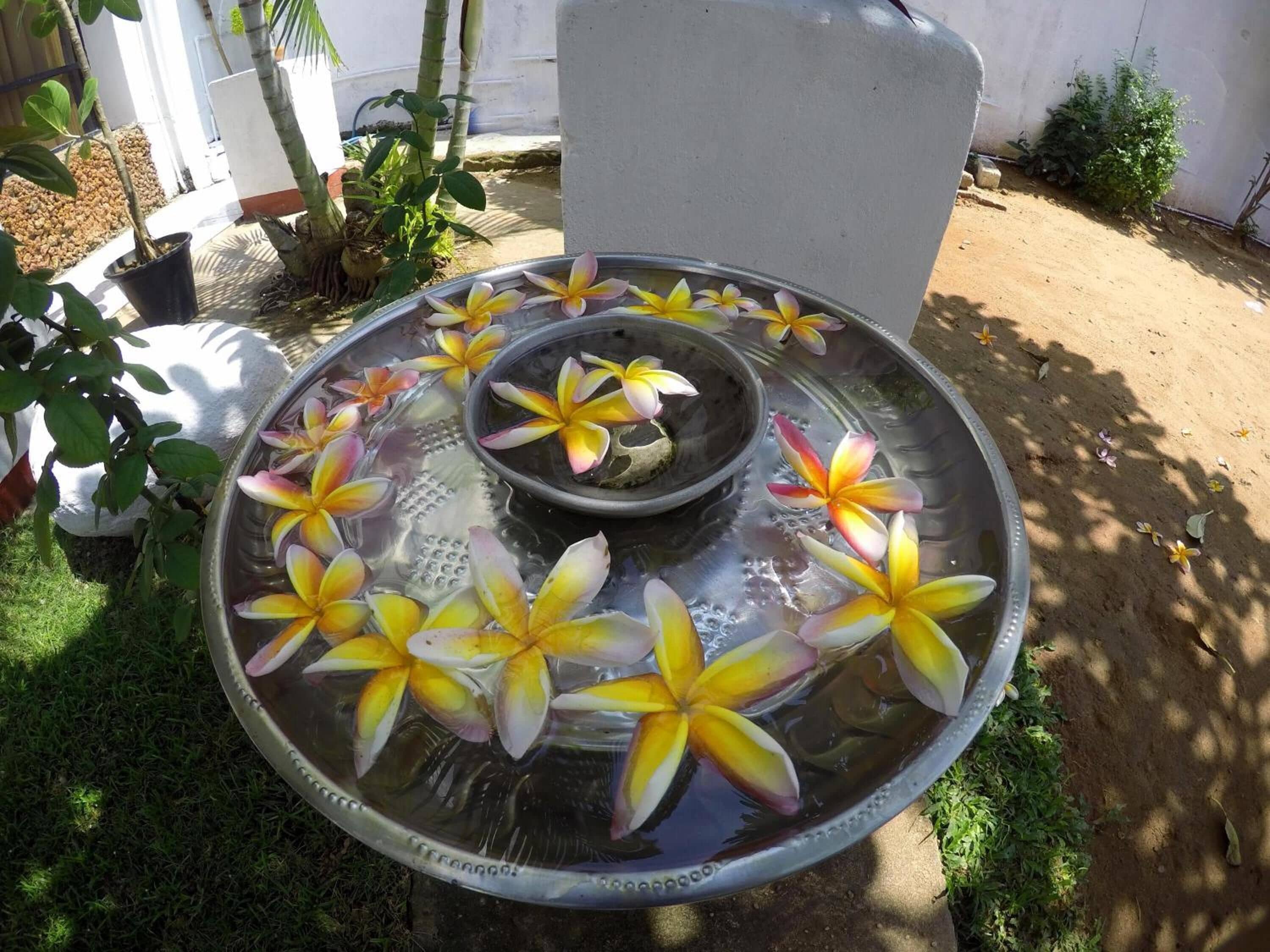 Foto - Colombo Residency