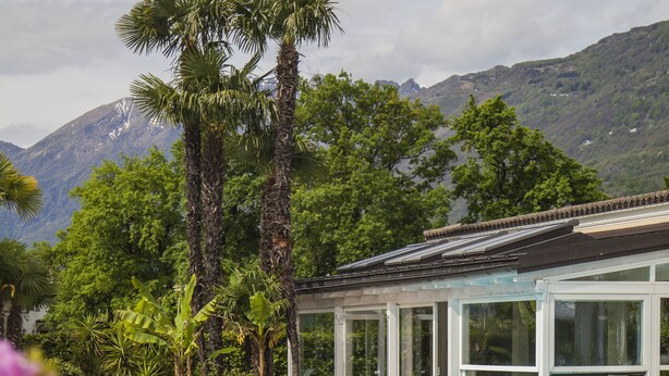 A swimming pool with clear blue water, surrounded by lush greenery and palm trees. - Delta Resort Apartments (Ascona)