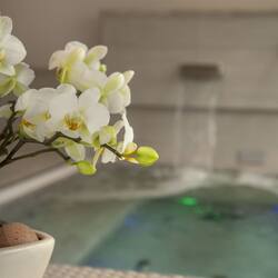 Sauna, hot tub, steam room, Turkish bath, body treatments