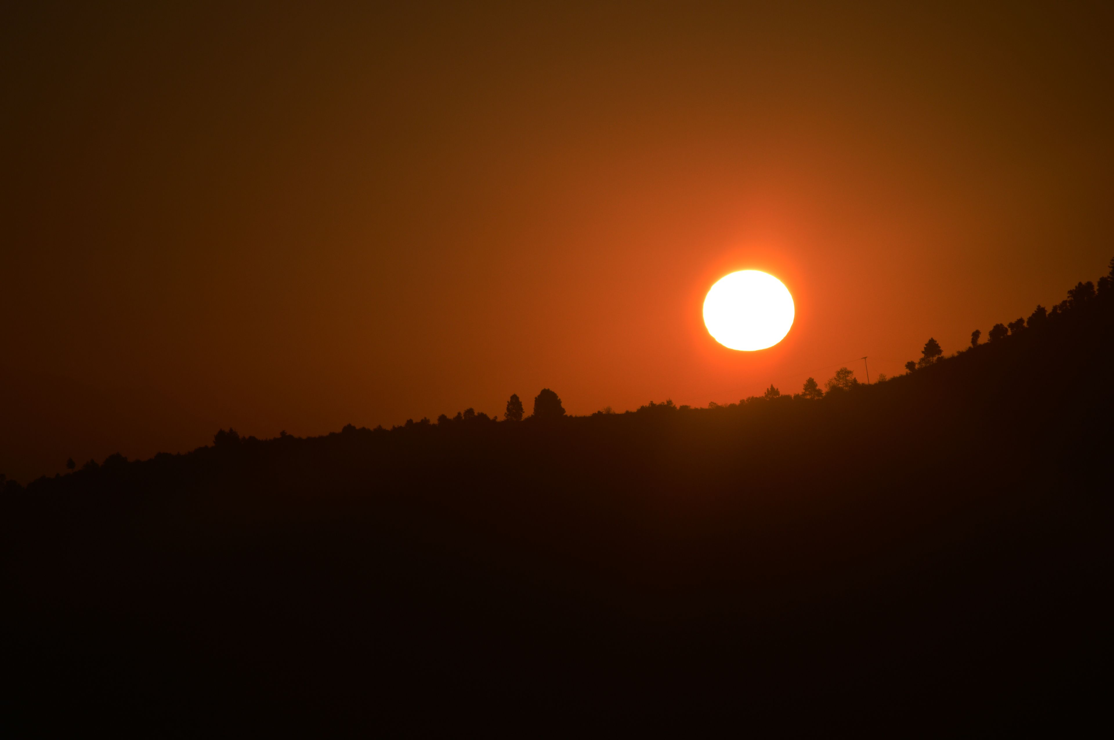 Un atardecer sobre un paisaje montañoso, con siluetas de árboles y un cielo despejado.
