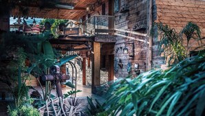 Een rustiek houten gebouw met een balkon, omringd door weelderig groen en diverse planten.