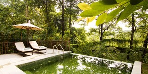 Family Villa, Private Pool | Balcony view