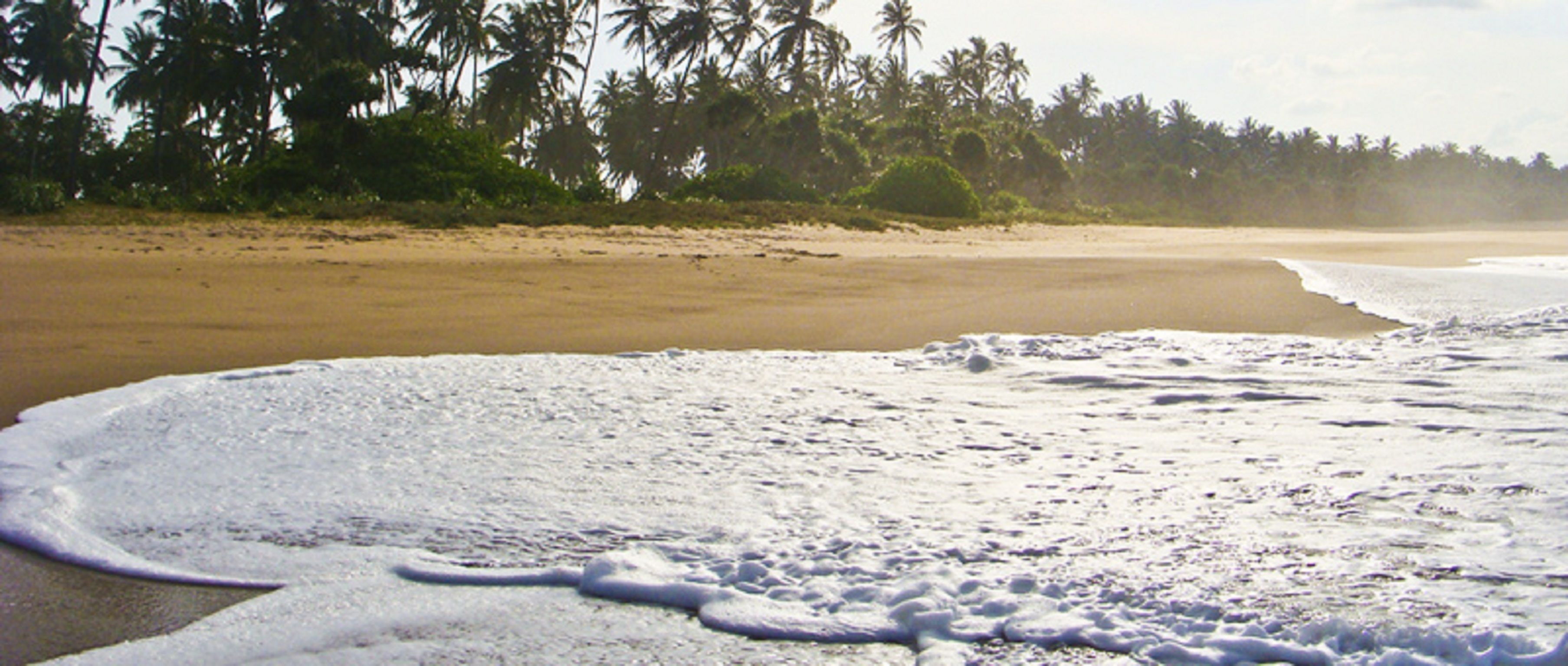 Plage à proximité