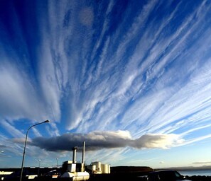 Beach - Guesthouse Lyngholt (Langanesbyggð)