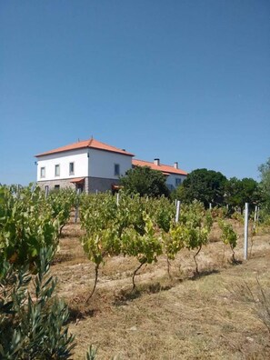 Fachada de la propiedad