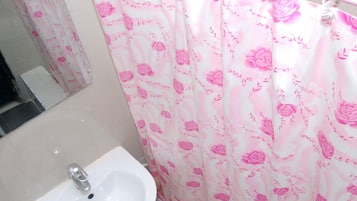 Separate tub and shower, free toiletries, hair dryer, towels