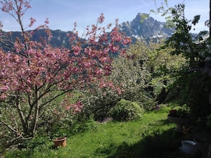 Jardín
