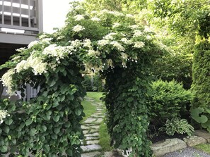 Garden - Dragonfly Guest House (Ogunquit)