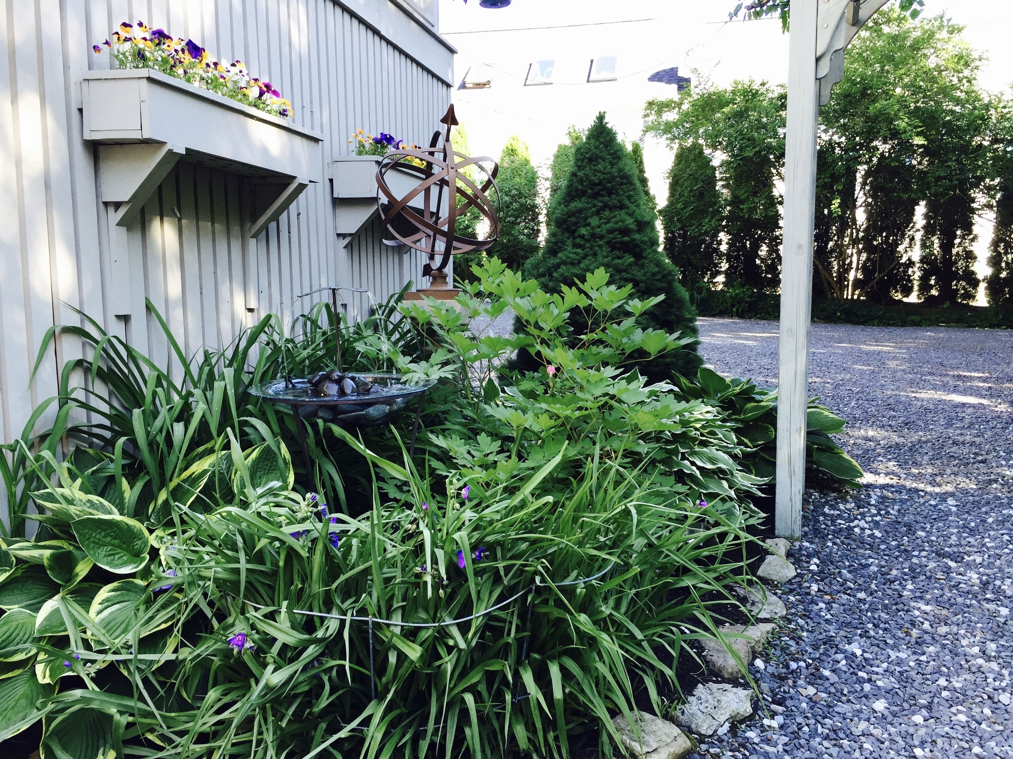Un jardí amb una bassa per aus, diverses plantes i un edifici amb jardineres.