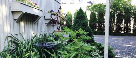 Un jardí amb una bassa per aus, diverses plantes i un edifici amb jardineres.