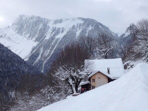 Chalet, 6 Bedrooms, Kitchen, Mountain View | View from room - Heidi Chalet Alps-unique experience (Rossiniere)