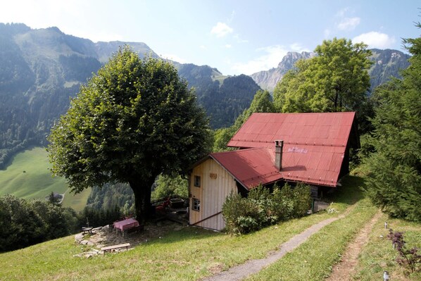 Exterior - Heidi Chalet Alps-unique experience (Rossiniere)