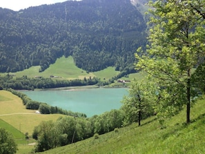 View from room - Heidi Chalet Alps-unique experience (Rossiniere)