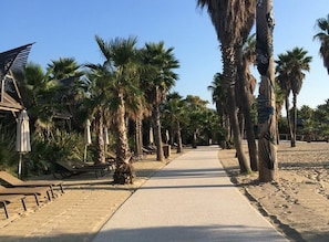 A pathway lined with palm trees and sun loungers, leading to a building with a sloped roof. - Dsone Vacances (Grimaud)