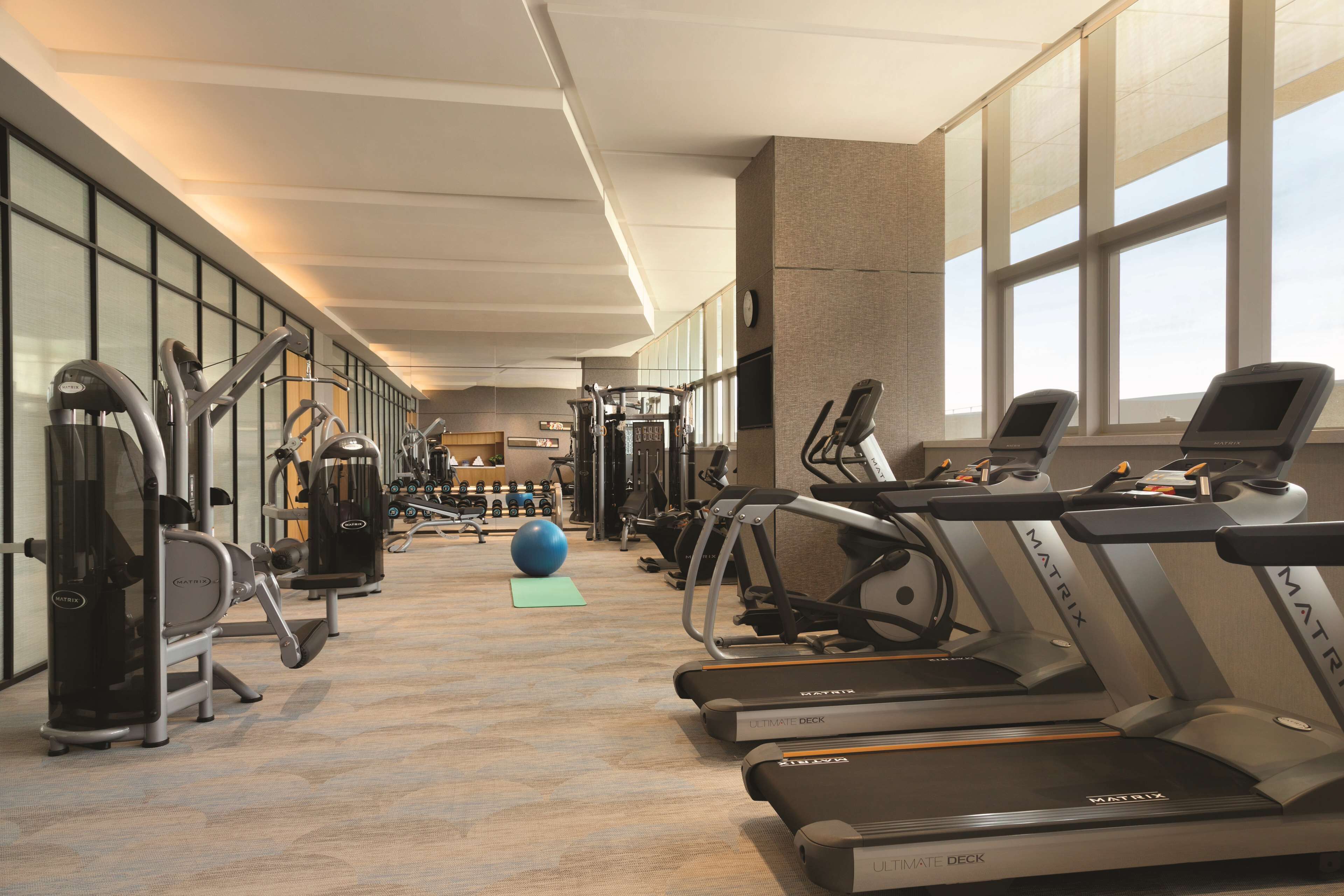 A gym with treadmills, elliptical machines, and free weights.