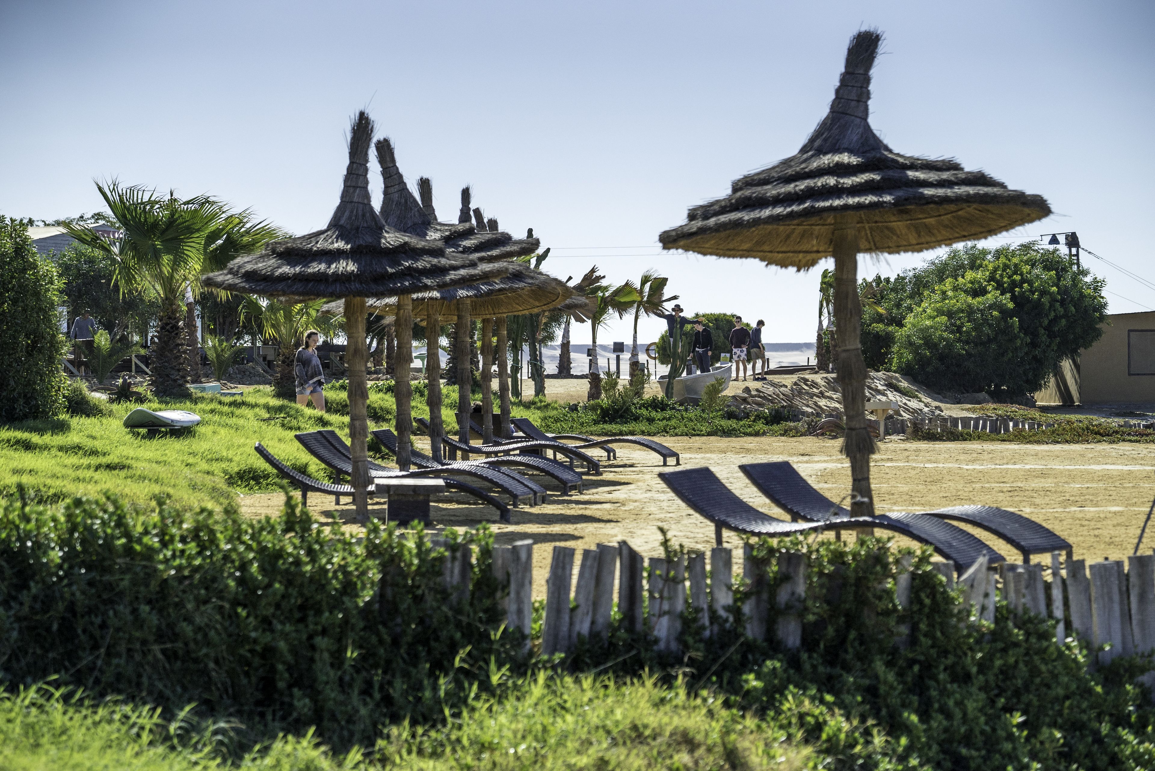 Plage, bar de plage, surf