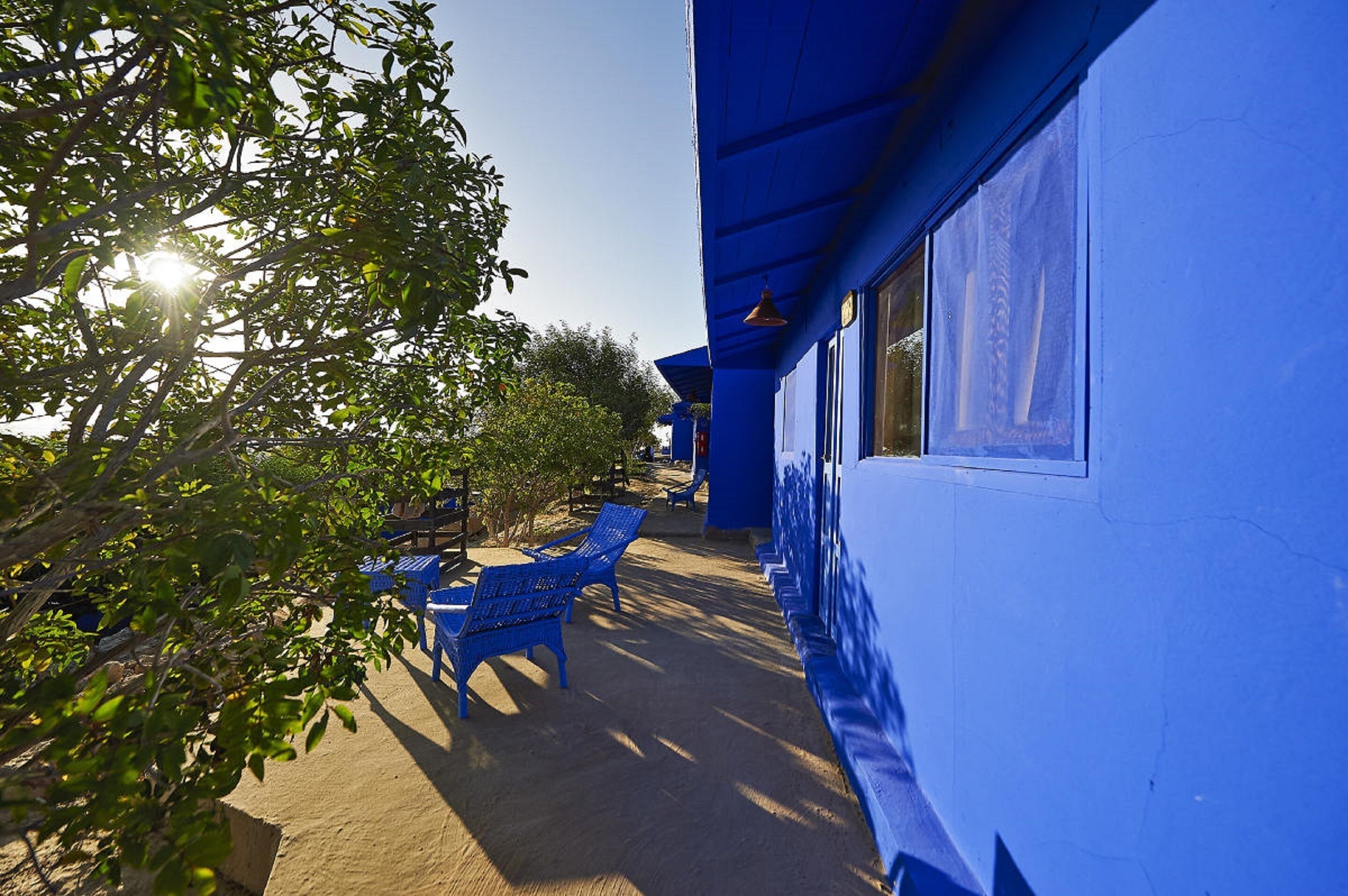 bungalow (dragon) | terrace/patio