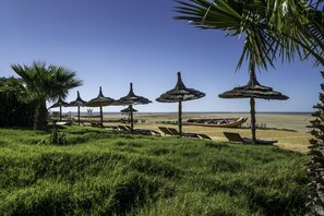 On the beach, beach bar, surfing - Dakhla Attitude (Dakhla)