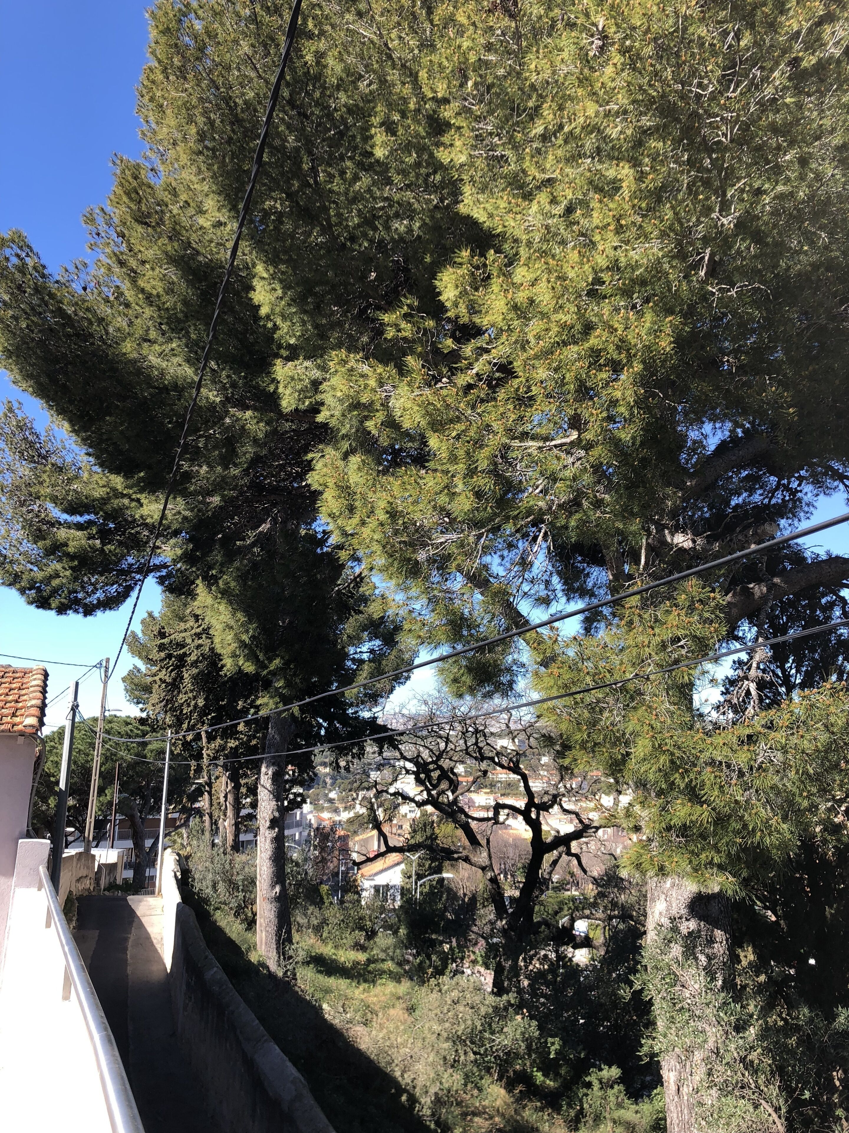 comfort studio, kitchenette, hill view | 1 bedroom, egyptian cotton sheets, premium bedding, select comfort beds