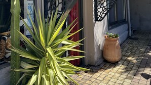 A building with a reception area, a cactus, and a potted plant. - Hotel Eden Cassis (Cassis)