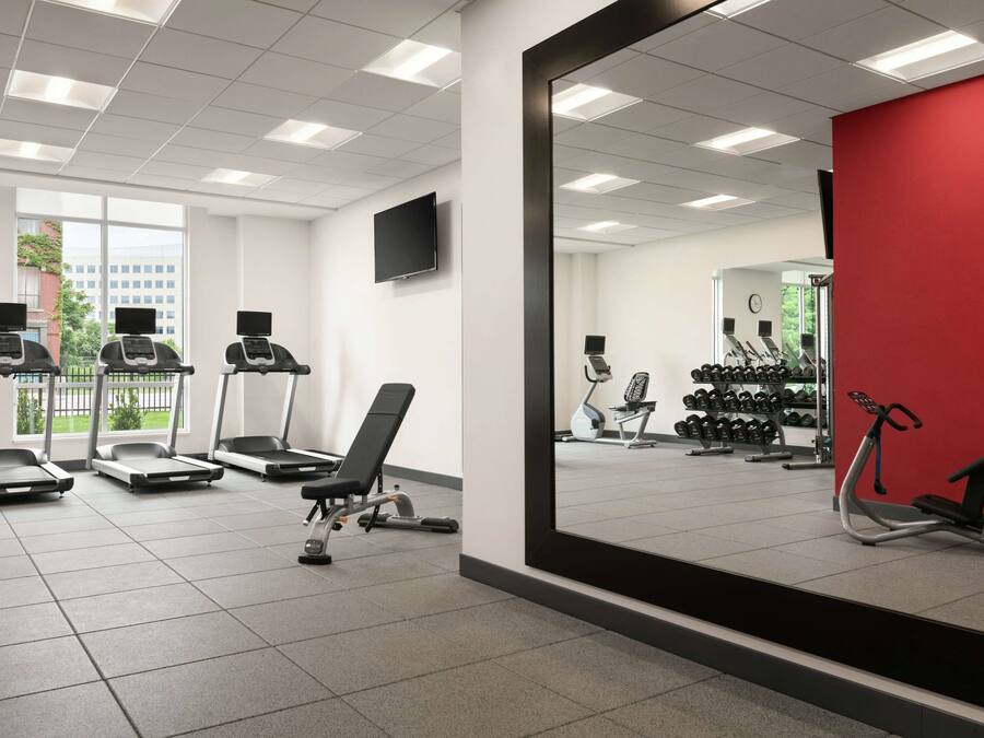 A gym with treadmills, a bench, and dumbbells.