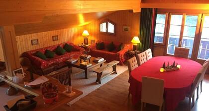 Cozy spacious Flat right in the village