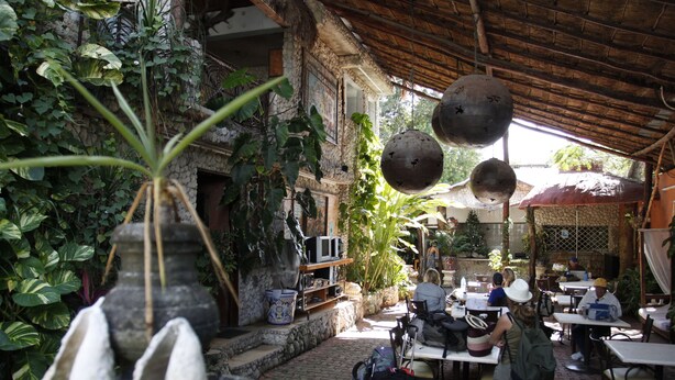 Dining - Hotel Tulum Iguanas (Tulum)