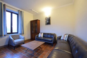 Televisor, llar de foc, futbolí i taula de tennis de taula 