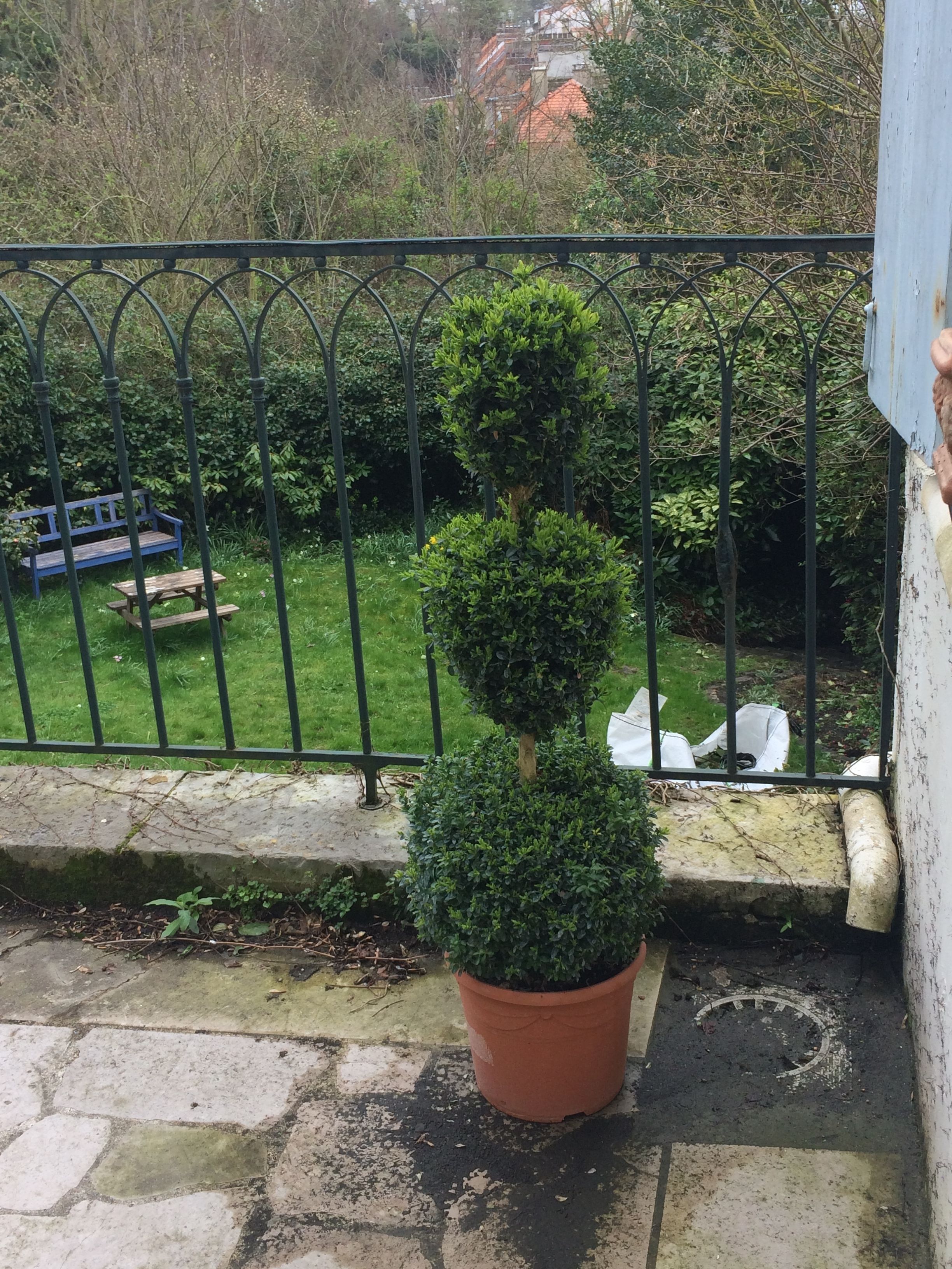 Un balcón con un topiario en maceta, baranda de metal y vista a un área verde con un banco y un objeto blanco.