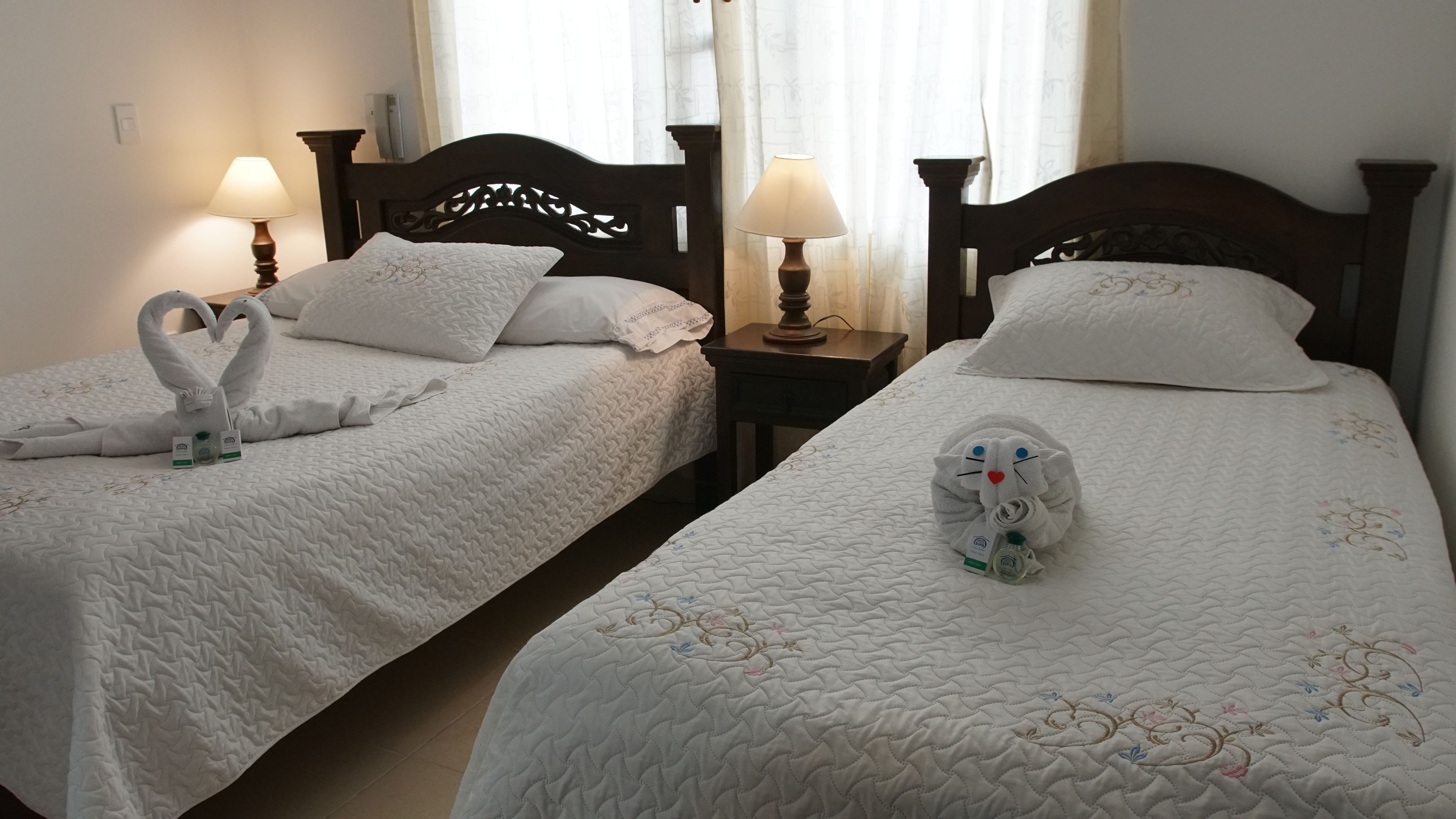 Two twin beds with white quilts and decorative pillows. Each bed has a wooden headboard and a bedside table with a lamp.